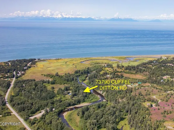 73790 Cuffel Ditton Rd, Anchor Pt, AK 99556