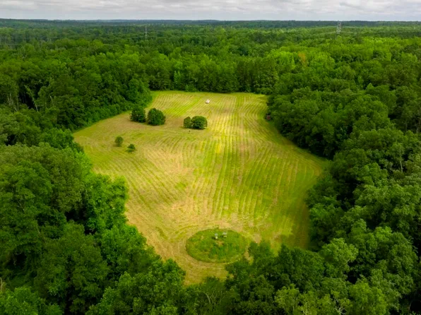 1230 Agricola Rd, Mitchell, GA 30820