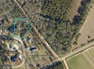 0 Alexander Farms Rd W, Statesboro, GA 30458