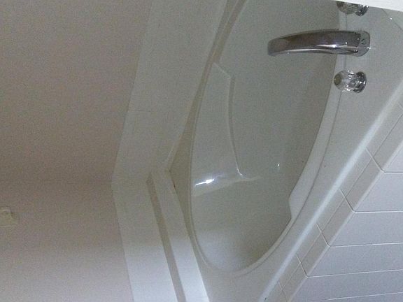 Separate shower tub in master bath