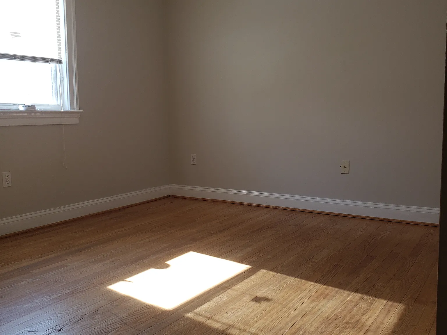 1 bed, 3015 sqft, $800 — Photo 2