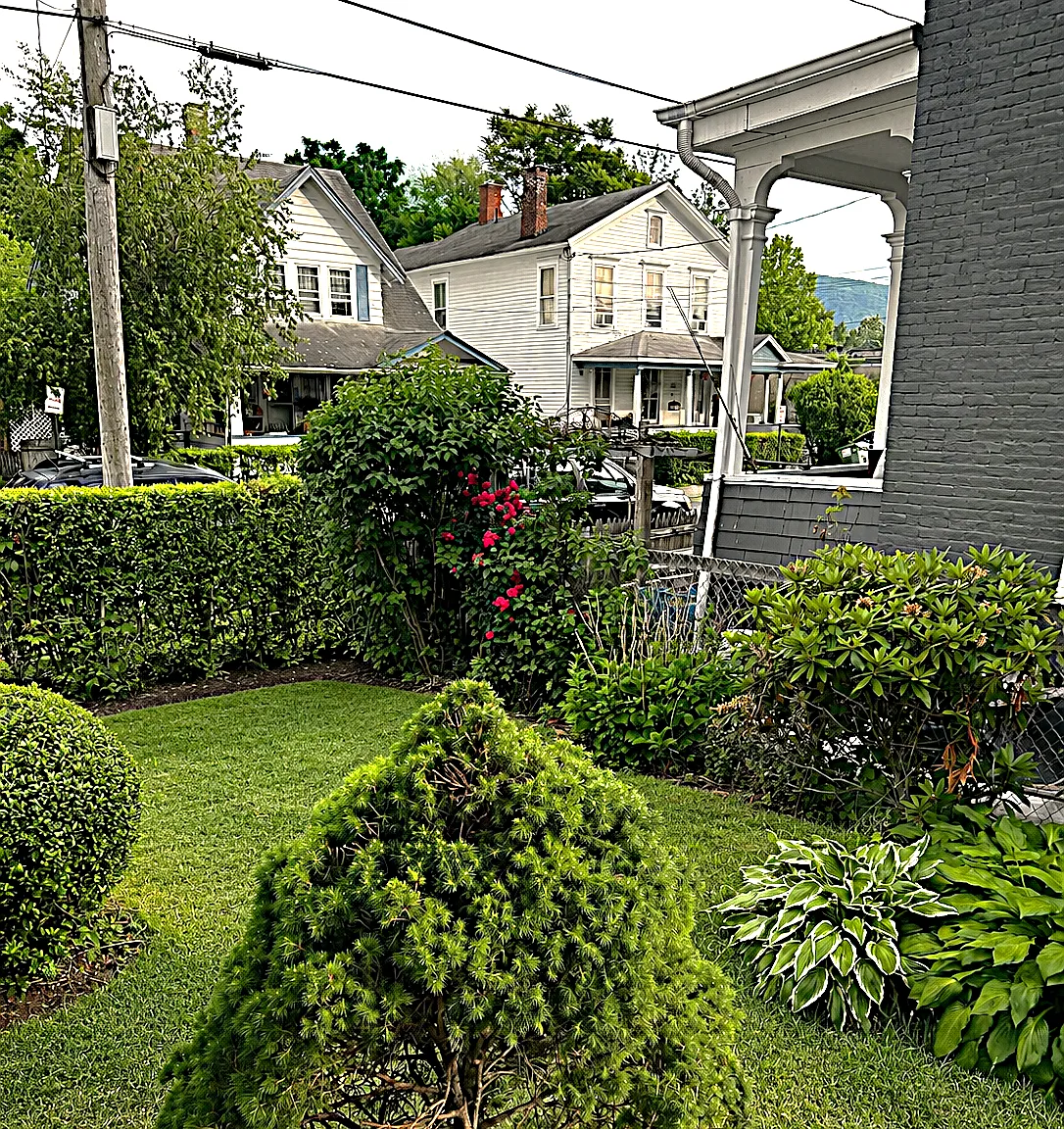 2 bed, 800 sqft, $1,650 — Photo 2