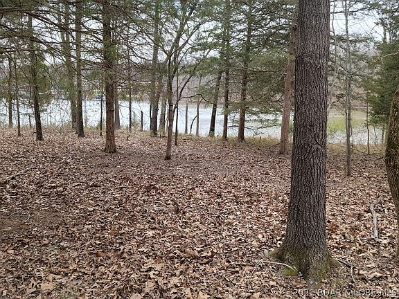 5th image of Spring Creek Dr