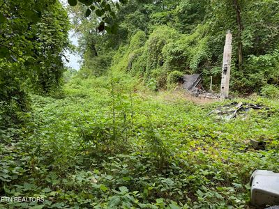 229 Martin Hollow Rd, Harriman, TN, 37748