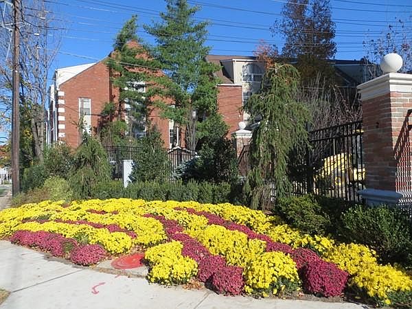 2nd image of 189 Kensington Dr #189
