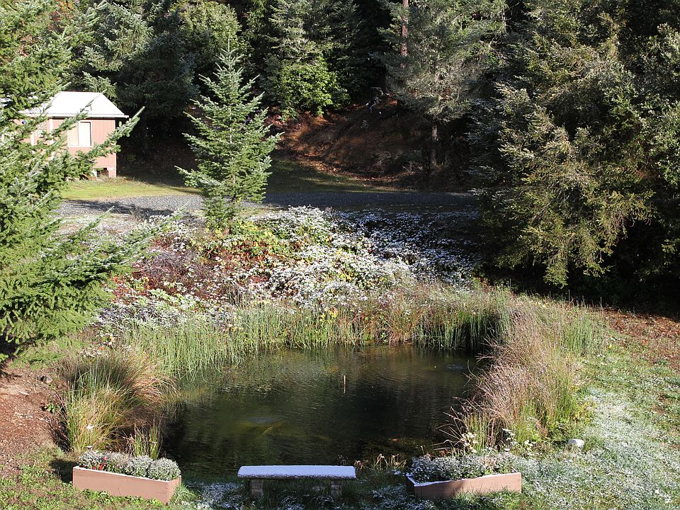 pond, Cabin/Workshop