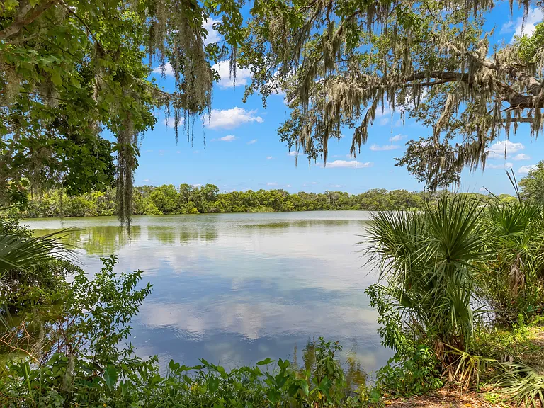 Beautiful Lake View