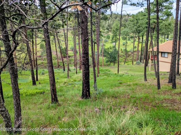 205 Stable Rd, Alto, NM 88312