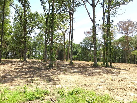 2nd image of Tbd Harrington Drive