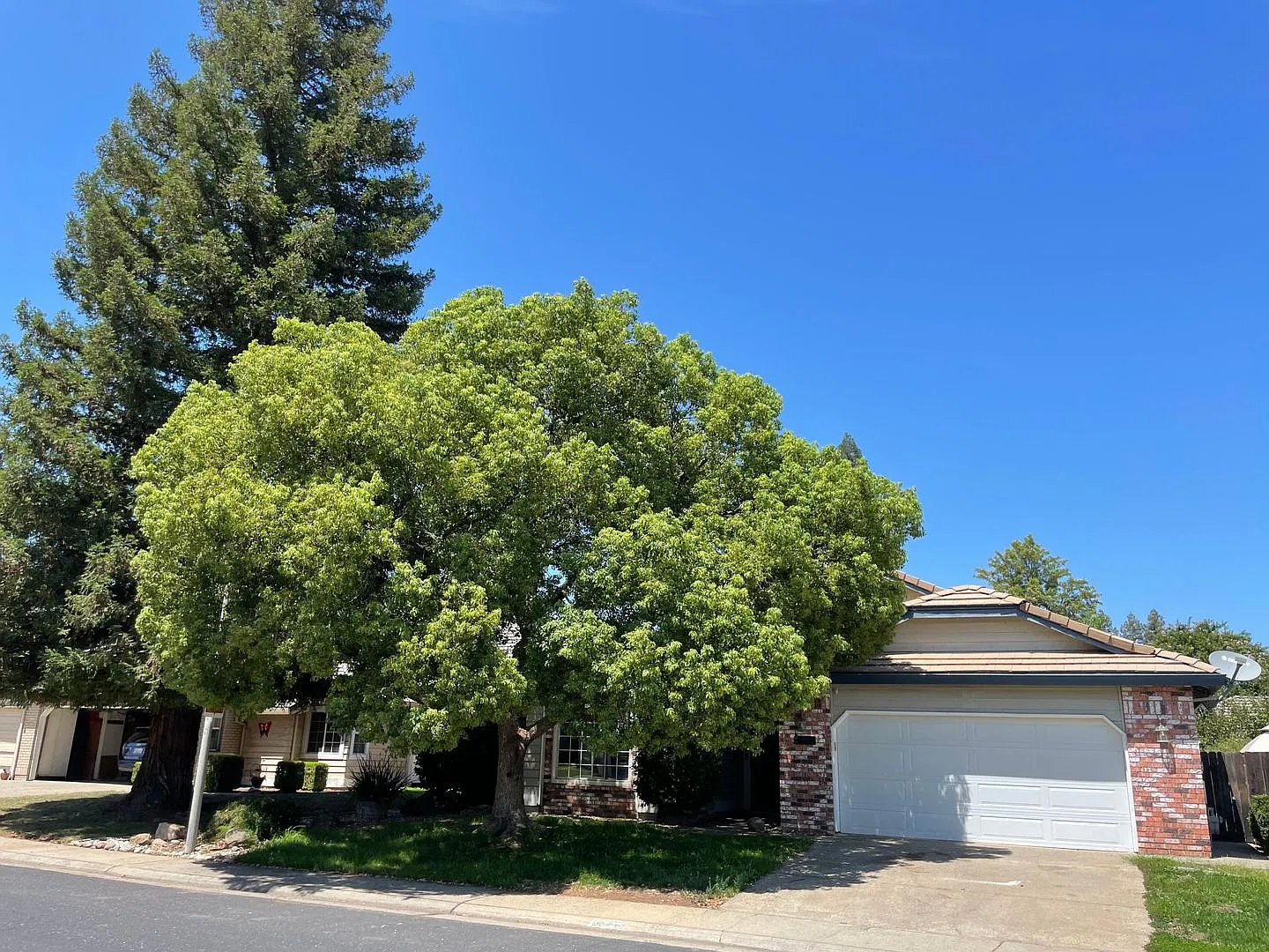 Nice Single Story, 3 Bed, 2 Bath, & 2 Car Garage In Rocklin! — Photo 1