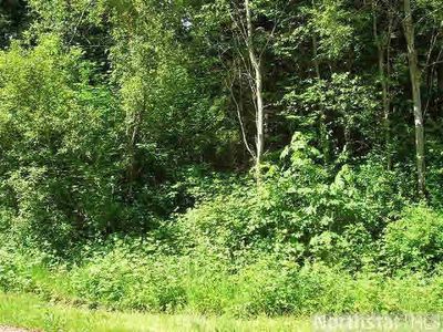 1550 White Cloud Dr, Isle, MN, 56342