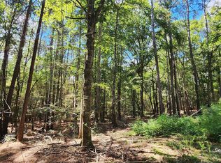 County Road 405 LOT 2, San Augustine, TX 75972