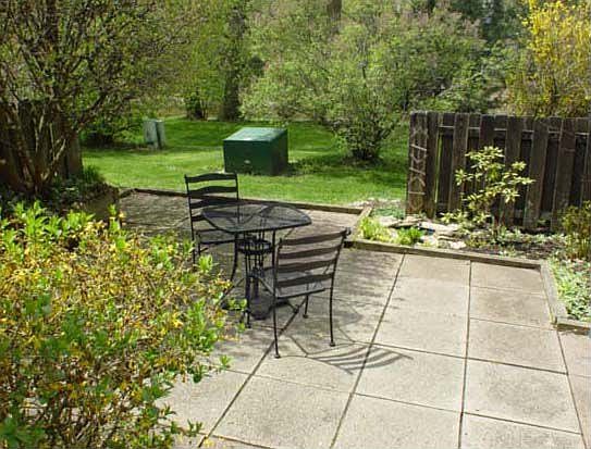 Lush Backyard