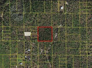 Holopaw Groves Rd #1, Saint Cloud, FL 34773