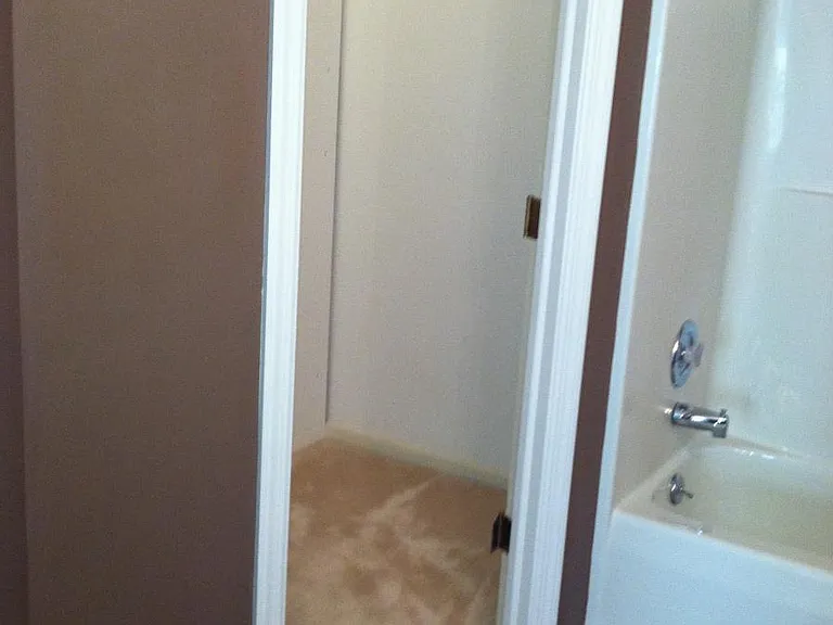 Main Bath Closte