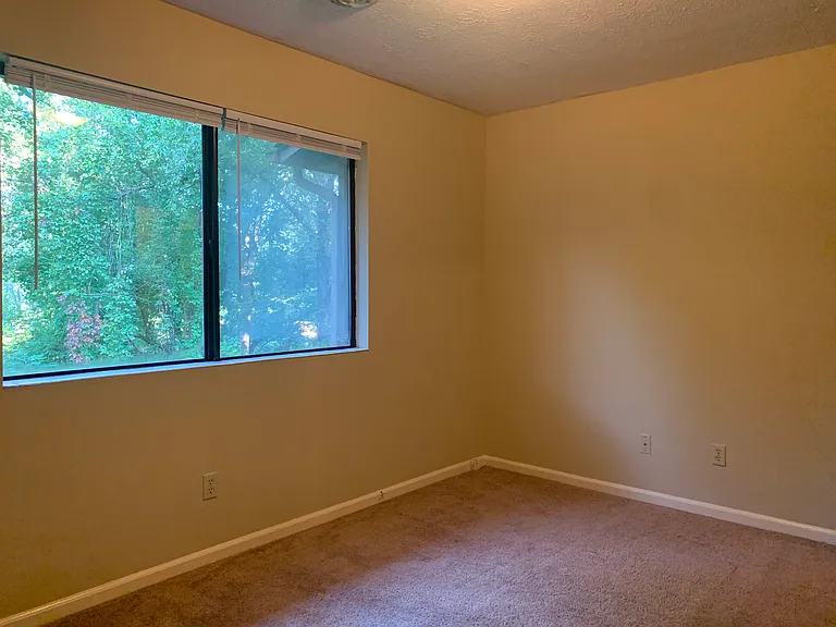217 Bear Creek Rd — Photo 16