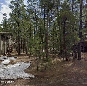 17455 S Stallion Dr #54, Munds Park, AZ, 86017