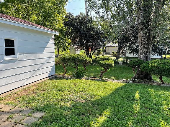 Back yard