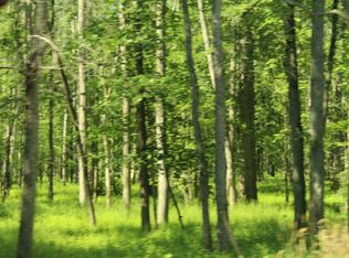 Nickleplate Rd, Pewamo, MI 48873