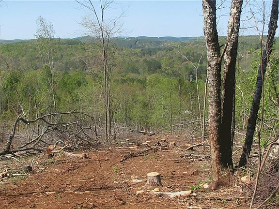 4th image of 0 Old Rockmart Hwy SE