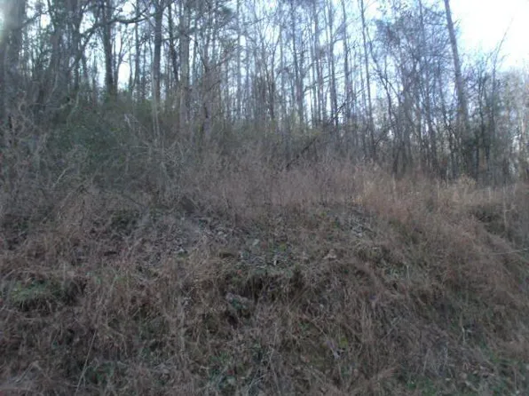 1185 Sweetens Cove Rd, South Pittsburg, TN 37380