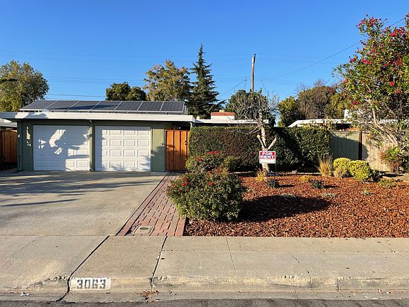 Front yard/ garden