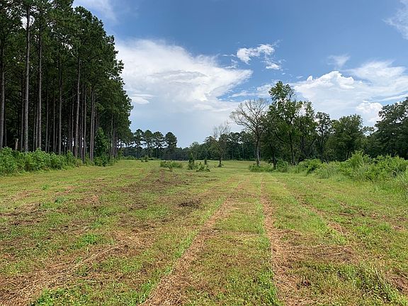 5th image of LOT 3 Highway 51 N