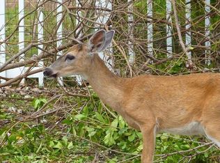 2137 Bahia Shores Rd, Big Pine Key, FL 33043