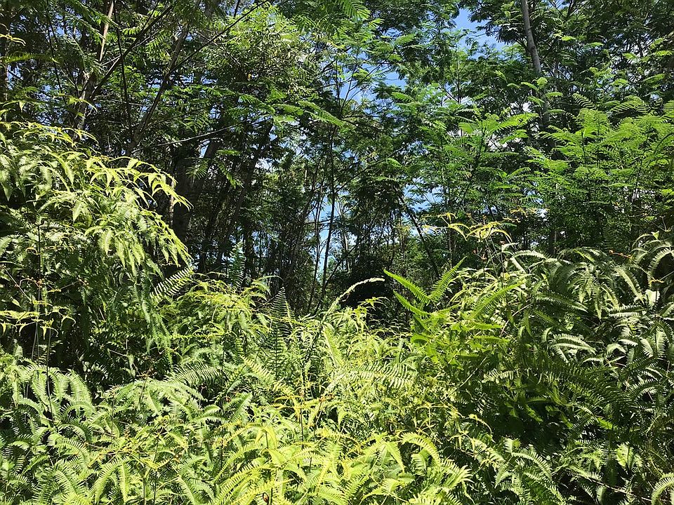 2nd image of Forest Rd Lot 410
