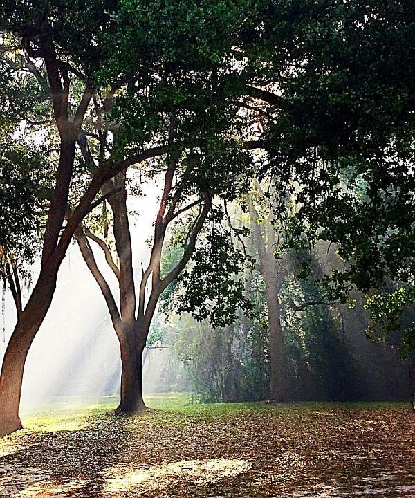 FB_IMG_1494266815934