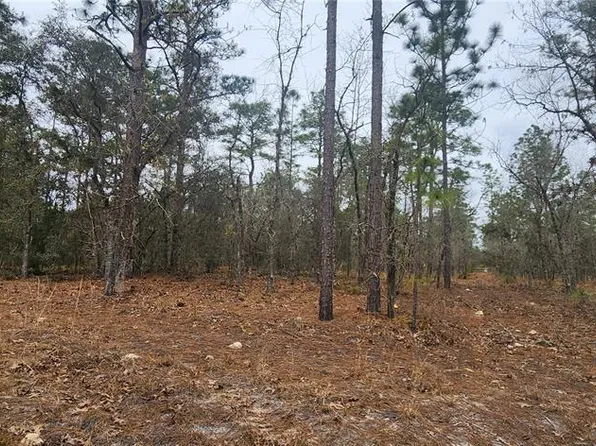 0 SW 92nd Pl #121, Dunnellon, FL 34432