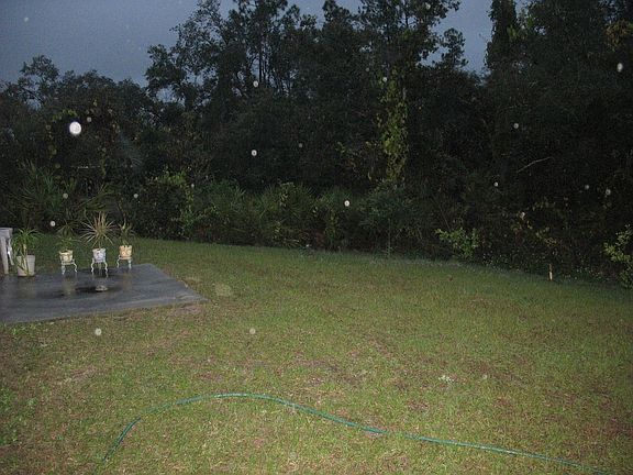 Back yard in evening