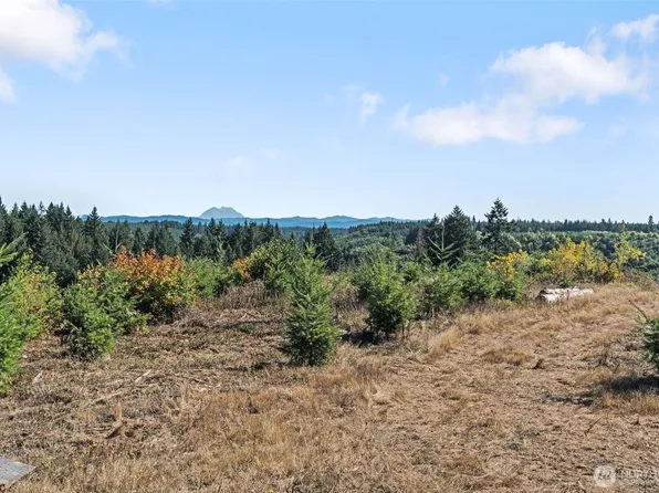 0 Lot 2 Macomber Road W, Chehalis, WA 98532