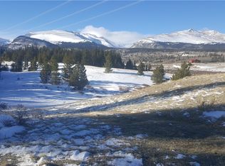12 Co Rd, Alma, CO 80420