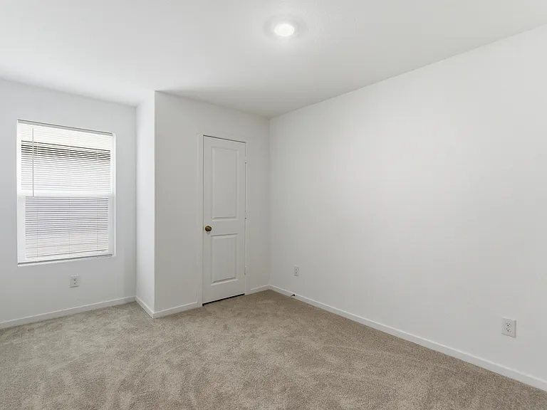 3120 Burmese St — Photo 23