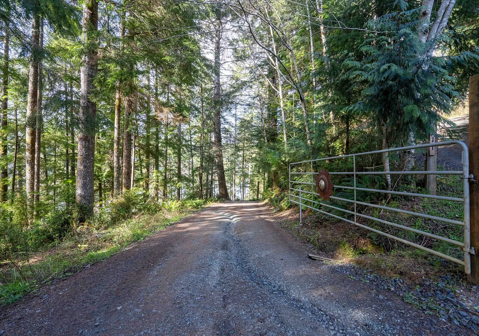 Potlatch Road — Photo 3