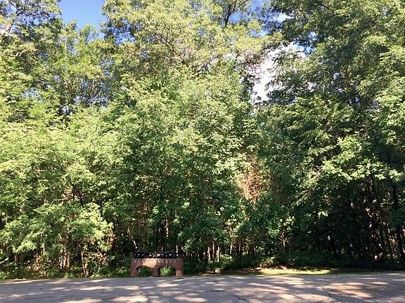 5th image of 7466 Black Forest Dr