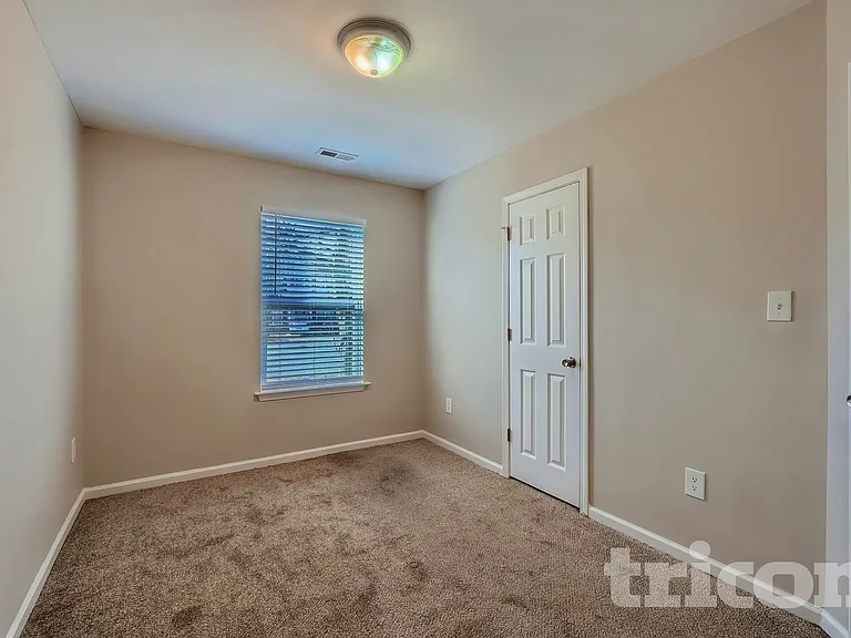 1115 Hannah Rae Ct — Photo 14