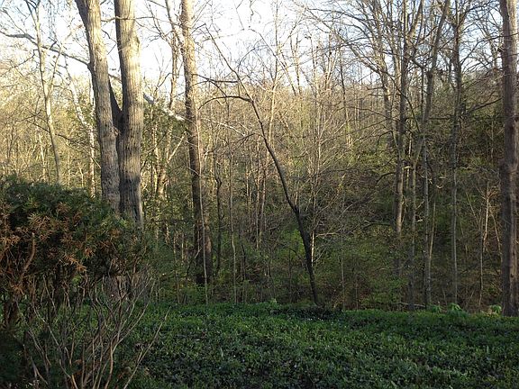 Overlooks White River