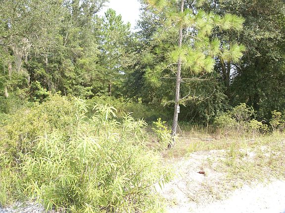 Lot view from road