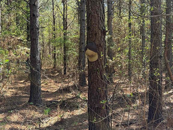 5th image of Brooks Rd