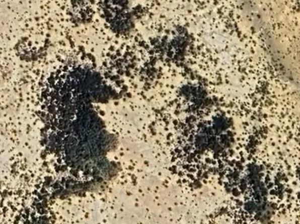 0 Corzo Ave, Terlingua, TX 79852