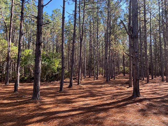 3rd image of Bear Bay Flats Rd