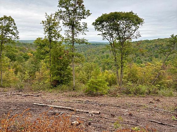 4th image of 2500 Beech Creek Mountain Rd