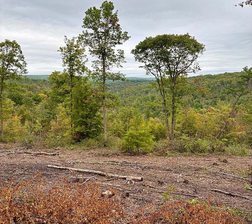 1st image of 31-36 Beech Creek Mountain Rd