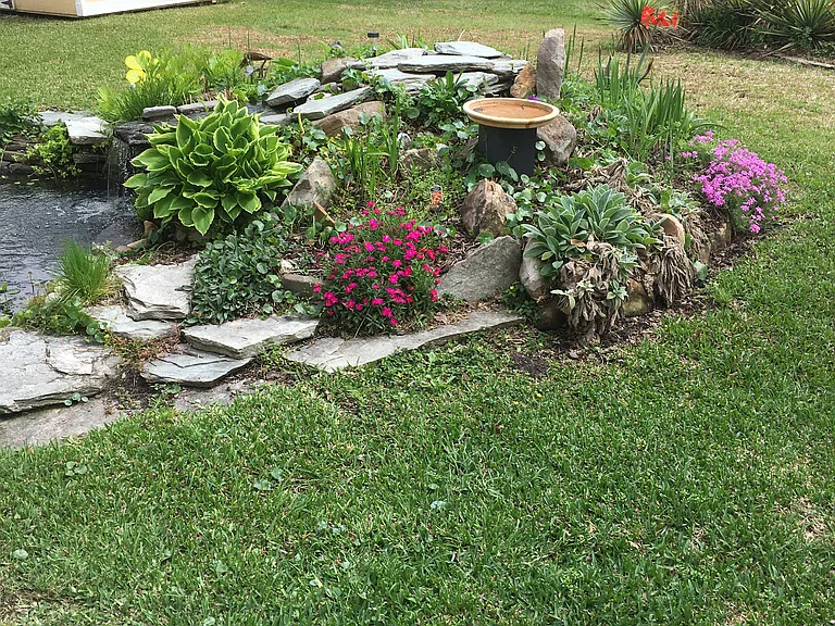 Beautiful Koi Pond Garden now