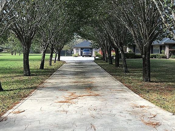 Canopied driveway 