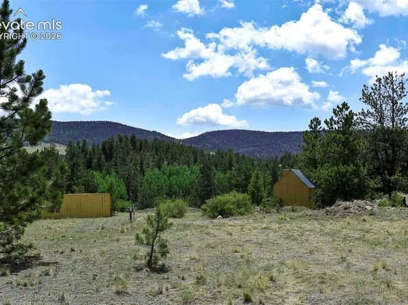 376 Copeland Rd, Guffey, CO 80820
