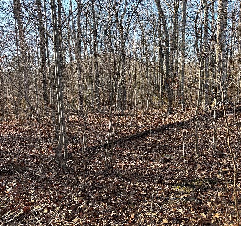 2nd image of 0 Lloyd Stover Rd