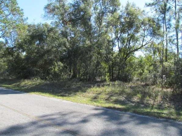 0 SE 169th Ct #5, Ocklawaha, FL 32179